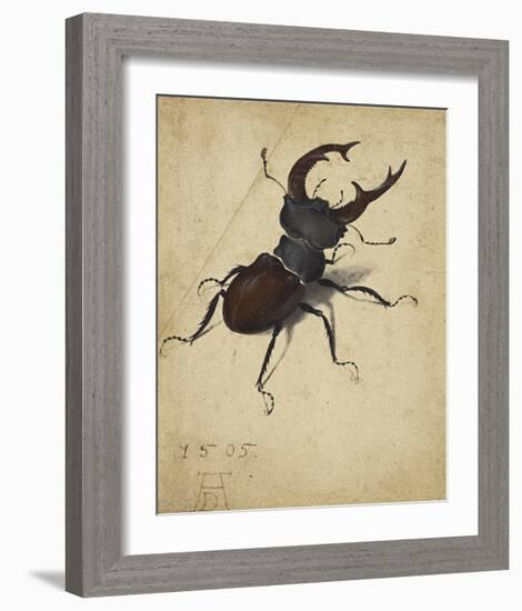 Stag Beetle, 1505-Albrecht Durer-Framed Premium Giclee Print