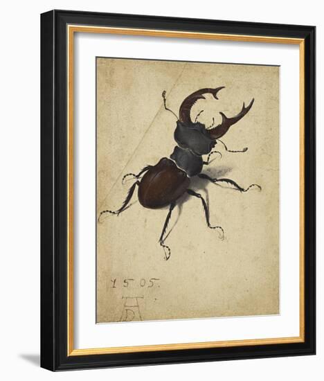 Stag Beetle, 1505-Albrecht Durer-Framed Premium Giclee Print