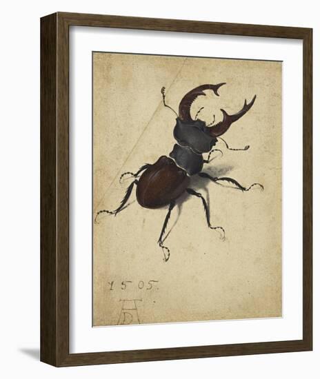 Stag Beetle, 1505-Albrecht Durer-Framed Premium Giclee Print