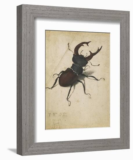 Stag Beetle, 1505-Albrecht Dürer or Duerer-Framed Giclee Print