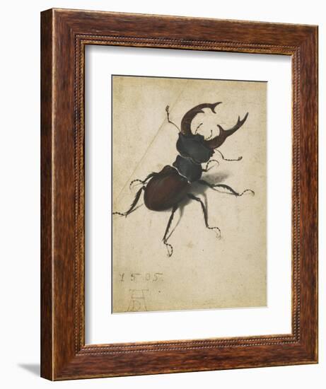 Stag Beetle, 1505-Albrecht Dürer or Duerer-Framed Giclee Print