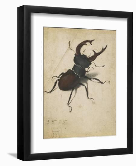 Stag Beetle, 1505-Albrecht Dürer or Duerer-Framed Giclee Print