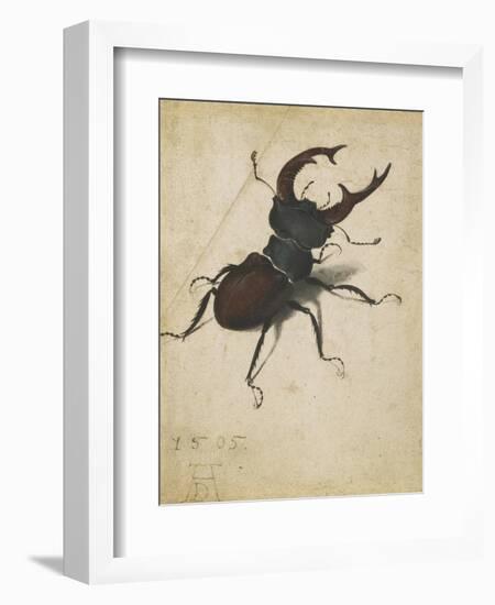 Stag Beetle, 1505-Albrecht Dürer or Duerer-Framed Giclee Print