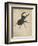 Stag Beetle, 1505-Albrecht Dürer or Duerer-Framed Giclee Print