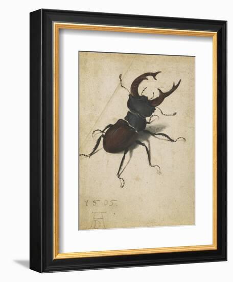 Stag Beetle, 1505-Albrecht Dürer or Duerer-Framed Giclee Print