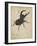 Stag Beetle, 1505-Albrecht Dürer or Duerer-Framed Giclee Print