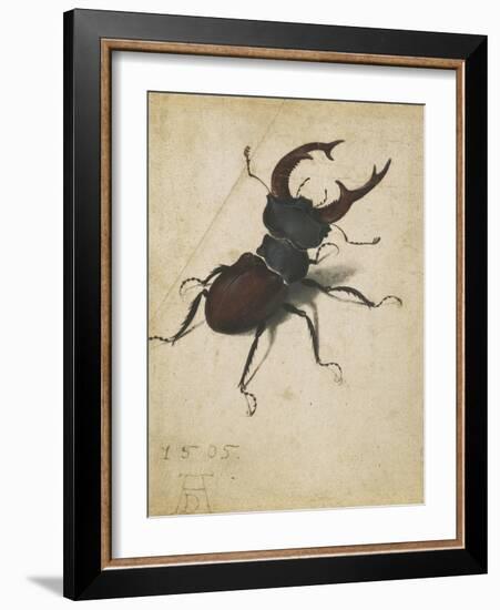 Stag Beetle, 1505-Albrecht Dürer or Duerer-Framed Giclee Print