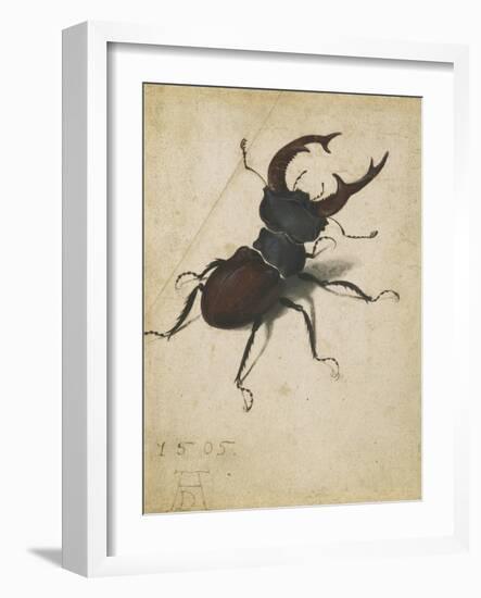 Stag Beetle, 1505-Albrecht Dürer or Duerer-Framed Giclee Print