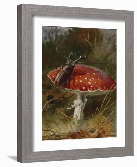 Stag Beetle on a Toadstool, 1928-Archibald Thorburn-Framed Giclee Print