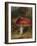 Stag Beetle on a Toadstool, 1928-Archibald Thorburn-Framed Giclee Print