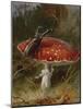 Stag Beetle on a Toadstool, 1928-Archibald Thorburn-Mounted Giclee Print