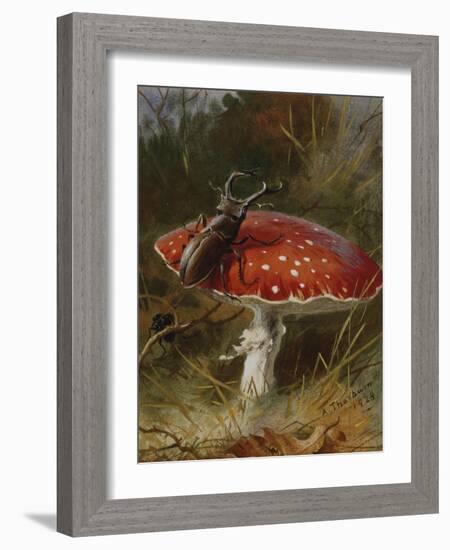 Stag Beetle on a Toadstool, 1928-Archibald Thorburn-Framed Giclee Print