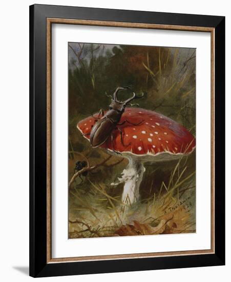 Stag Beetle on a Toadstool, 1928-Archibald Thorburn-Framed Giclee Print