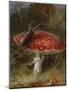 Stag Beetle on a Toadstool, 1928-Archibald Thorburn-Mounted Giclee Print