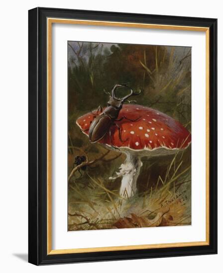 Stag Beetle on a Toadstool, 1928-Archibald Thorburn-Framed Giclee Print