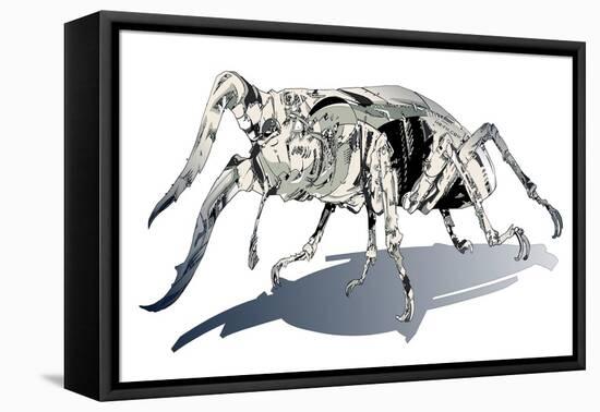 Stag Beetle-HR-FM-Framed Stretched Canvas