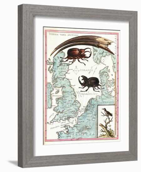 Stag Beetles Crawling Over Map, 18th Century-Science Source-Framed Giclee Print