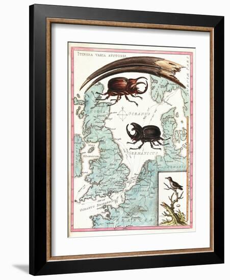 Stag Beetles Crawling Over Map, 18th Century-Science Source-Framed Giclee Print