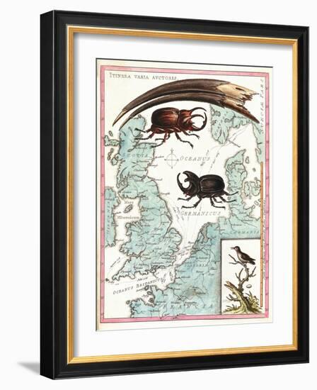 Stag Beetles Crawling Over Map, 18th Century-Science Source-Framed Giclee Print