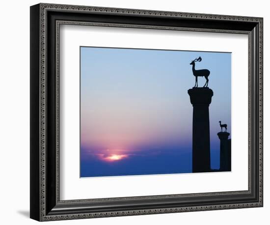 Stag Column-Walter Bibikow-Framed Photographic Print