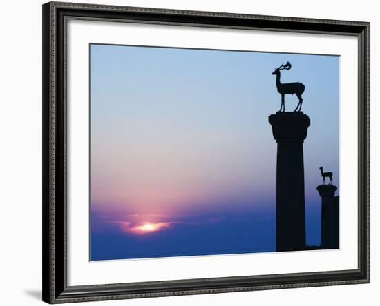 Stag Column-Walter Bibikow-Framed Photographic Print