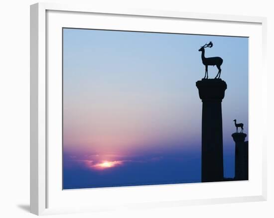 Stag Column-Walter Bibikow-Framed Photographic Print