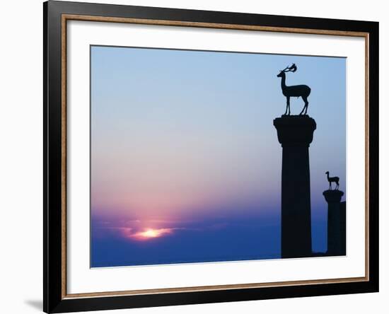 Stag Column-Walter Bibikow-Framed Photographic Print