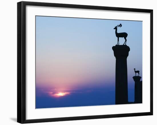 Stag Column-Walter Bibikow-Framed Photographic Print