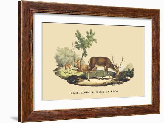 Stag, Doe and Fawn-E.f. Noel-Framed Art Print