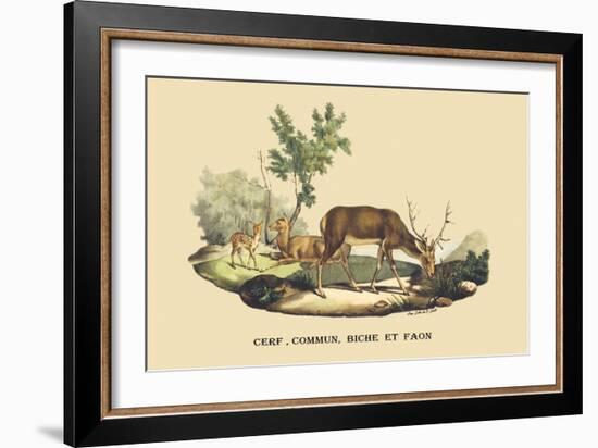 Stag, Doe and Fawn-E.f. Noel-Framed Art Print