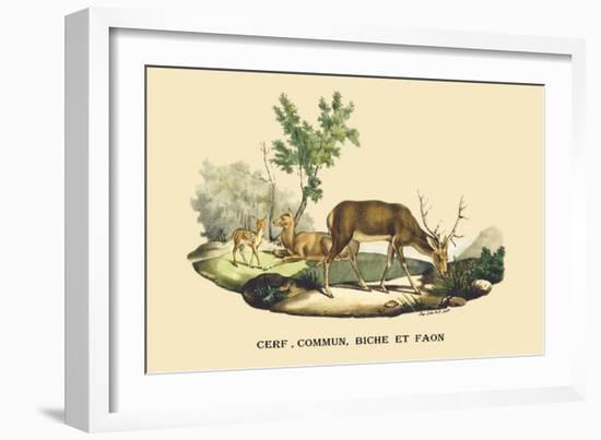 Stag, Doe and Fawn-E.f. Noel-Framed Art Print