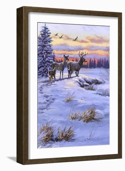 Stag Family-The Macneil Studio-Framed Giclee Print