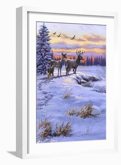 Stag Family-The Macneil Studio-Framed Giclee Print