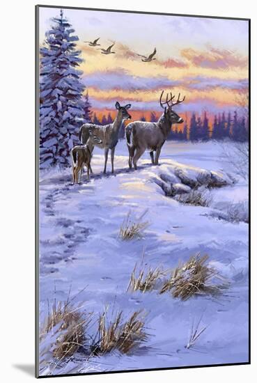 Stag Family-The Macneil Studio-Mounted Giclee Print