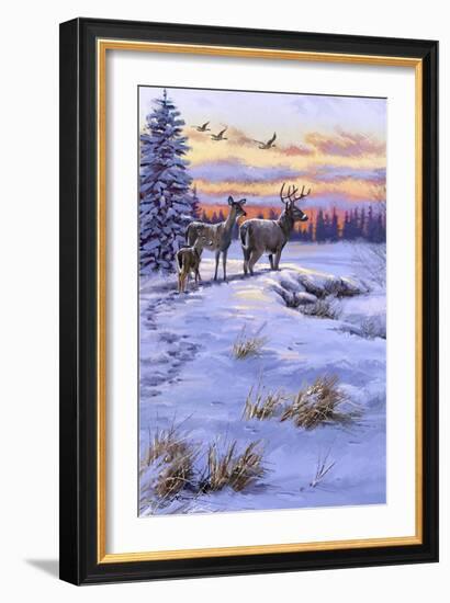 Stag Family-The Macneil Studio-Framed Giclee Print