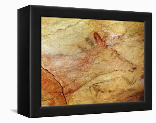 Stag from the Caves of Altamira, C.15,000 BC (Cave Painting) (Detail of 42412)-Prehistoric Prehistoric-Framed Premier Image Canvas