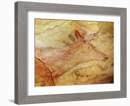 Stag from the Caves of Altamira, C.15,000 BC (Cave Painting) (Detail of 42412)-Prehistoric Prehistoric-Framed Giclee Print