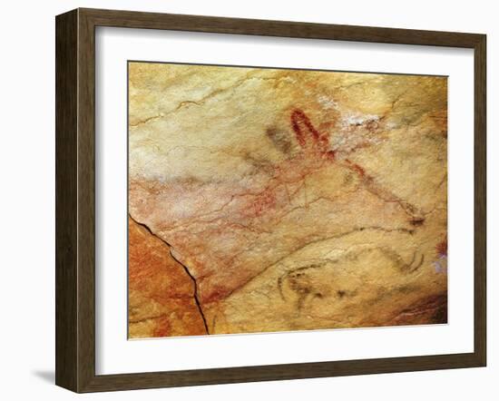 Stag from the Caves of Altamira, C.15,000 BC (Cave Painting) (Detail of 42412)-Prehistoric Prehistoric-Framed Giclee Print