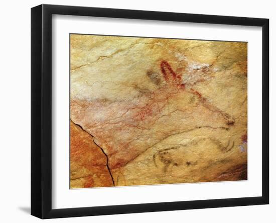 Stag from the Caves of Altamira, C.15,000 BC (Cave Painting) (Detail of 42412)-Prehistoric Prehistoric-Framed Giclee Print