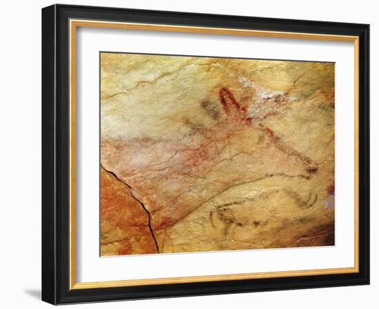 Stag from the Caves of Altamira, C.15,000 BC (Cave Painting) (Detail of 42412)-Prehistoric Prehistoric-Framed Giclee Print