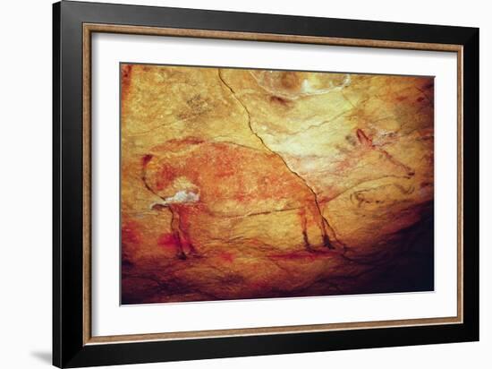 Stag from the Caves of Altamira, C.15,000 BC (Cave Painting)-Prehistoric Prehistoric-Framed Giclee Print