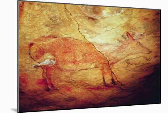 Stag from the Caves of Altamira, C.15,000 BC (Cave Painting)-Prehistoric Prehistoric-Mounted Giclee Print