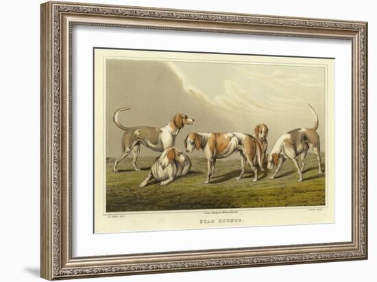 Stag Hounds-Henry Thomas Alken-Framed Giclee Print