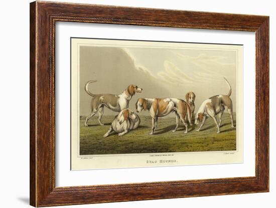 Stag Hounds-Henry Thomas Alken-Framed Giclee Print