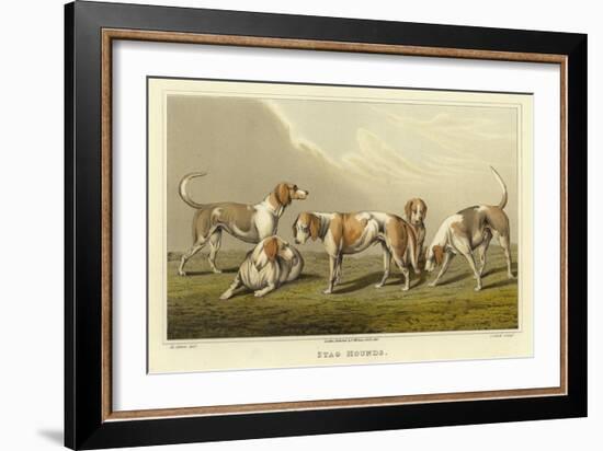 Stag Hounds-Henry Thomas Alken-Framed Giclee Print