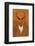 Stag - Jethro Wilson Contemporary Wildlife Print-Jethro Wilson-Framed Giclee Print