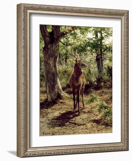 Stag on Alert in Wooded Clearing-Rosa Bonheur-Framed Giclee Print