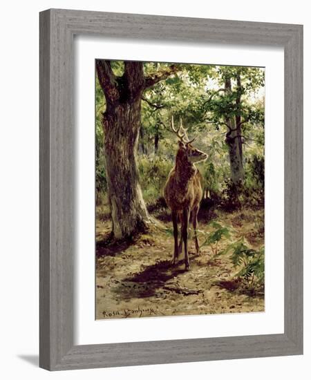Stag on Alert in Wooded Clearing-Rosa Bonheur-Framed Giclee Print