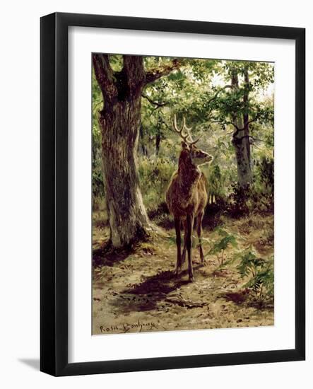 Stag on Alert in Wooded Clearing-Rosa Bonheur-Framed Giclee Print