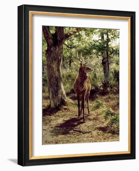 Stag on Alert in Wooded Clearing-Rosa Bonheur-Framed Giclee Print